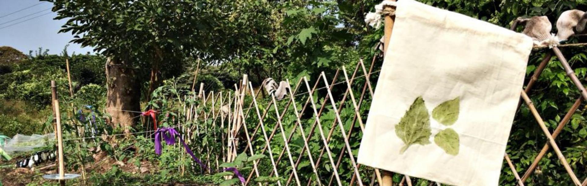 可持續發展與環境