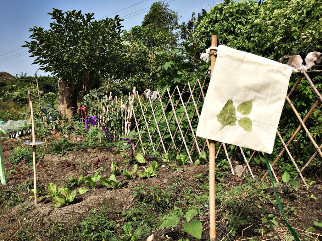 可持續發展與環境